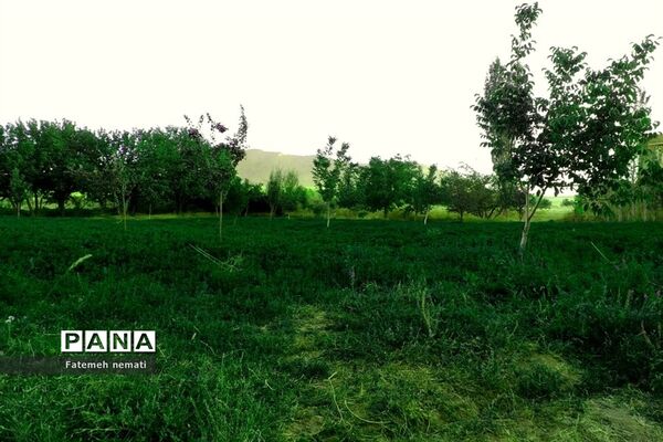 طبیعت زیبای استان مرکزی در آخرین روزهای تابستان