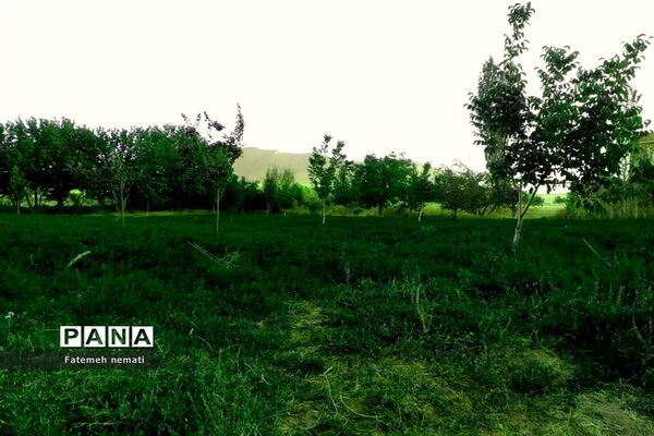 طبیعت زیبای استان مرکزی در آخرین روزهای تابستان
