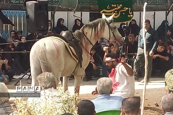 مراسم تعزیه‌خوانی شهادت حضرت علی اکبر(ع) در شهر ریوند