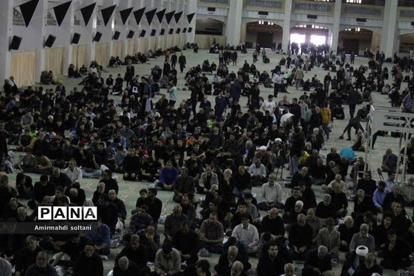 یاوران ولایت