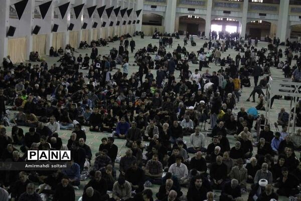 یاوران ولایت