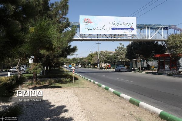 اشعار ادبیات، زینت بخش مشهد الرضا