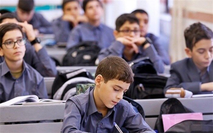 مدارس کسب‌وکار برای آموزش فعالیت‌های اقتصادی به دانش‌آموزان  راه‌اندازی شود