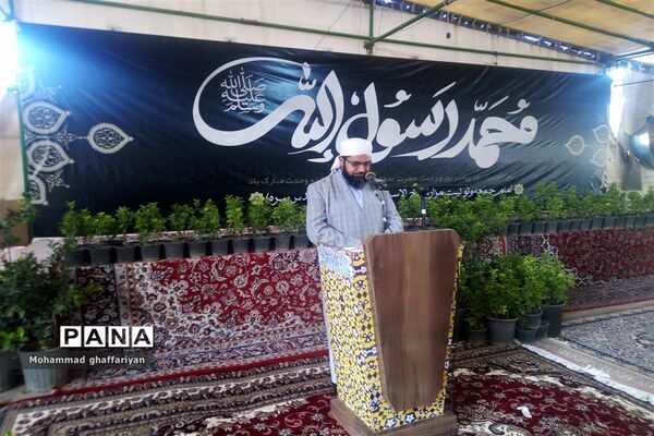 آغاز ویژه برنامه‌های هفته وحدت در تربت جام