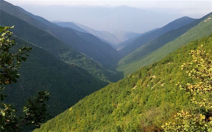 ورود به جنگل‌ های مازندران تا ۱۵ مهرماه ممنوع است