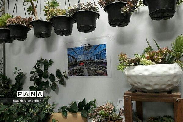 نمایشگاه توانمندی‌ها و دست‌آوردهای فرهنگی شهرستان فیروزکوه