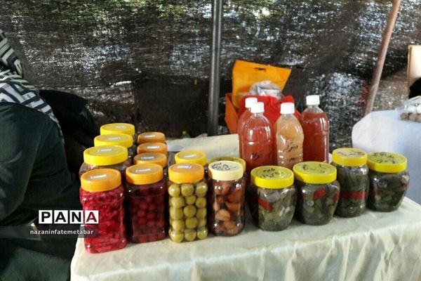 نمایشگاه توانمندی‌ها و دست‌آوردهای فرهنگی شهرستان فیروزکوه