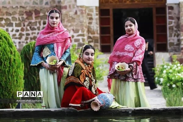 جشنواره انجیر ارس
