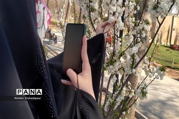 پارک ملی ایران کوچک