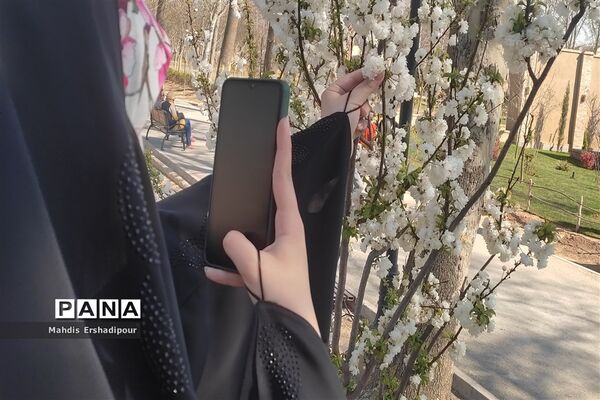 پارک ملی ایران کوچک