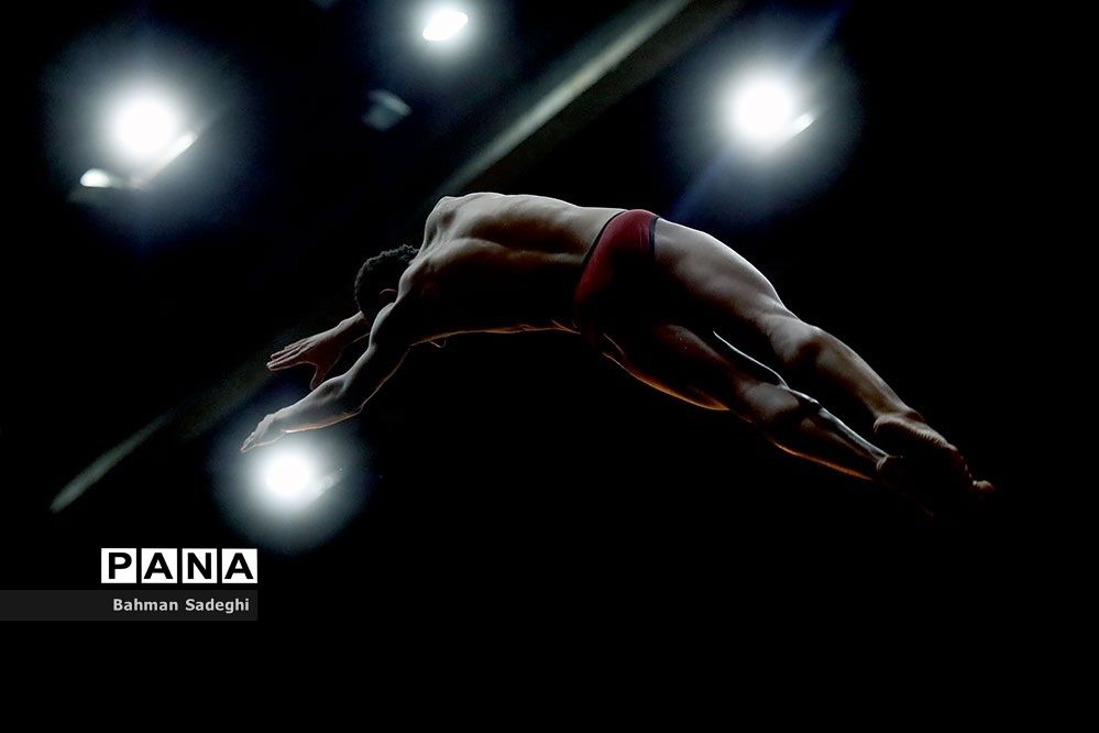 نماینده شیرجه ایران در جایگاه چهاردهم ایستاد