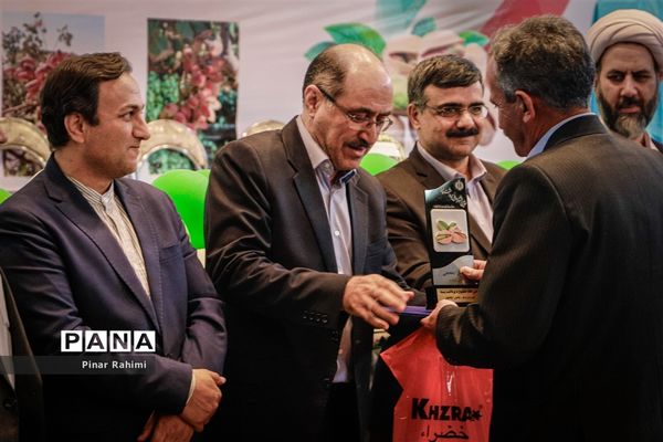 برداشت پسته در بخش ایلخچی