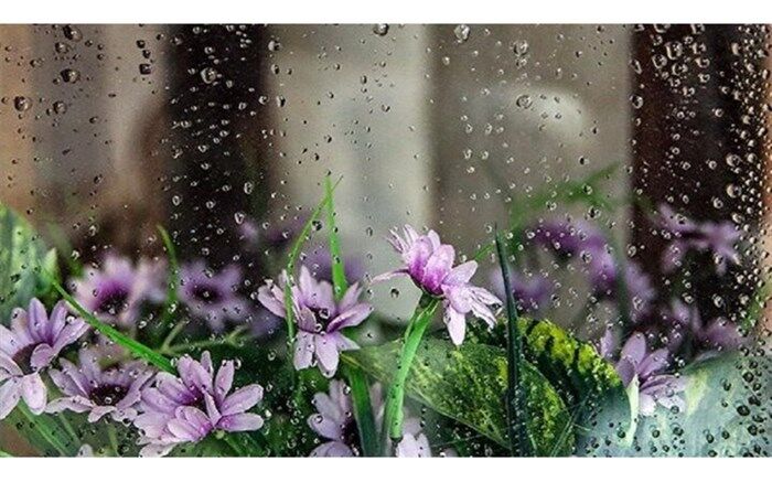 کاهش دما تا ۸ درجه در نیمه شمالی کشور