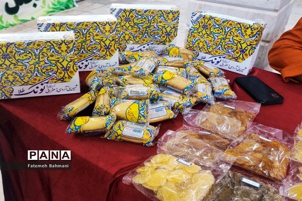 نمایشگاه توانمندی‌های روستایی در شهرستان محلات