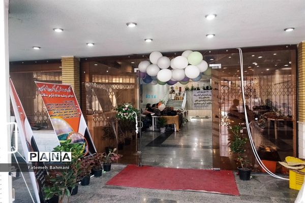 نمایشگاه توانمندی‌های روستایی در شهرستان محلات