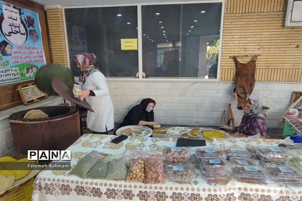نمایشگاه توانمندی‌های روستایی در شهرستان محلات