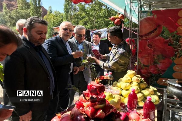 برگزاری ویژه‌برنامه هفته فرهنگی در بخش مرکزی شهرستان فیروزکوه