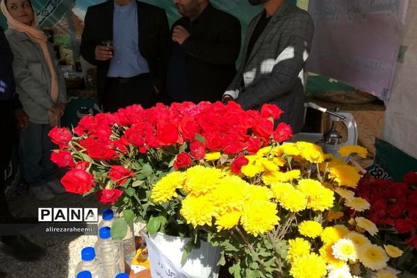 برگزاری ویژه‌برنامه هفته فرهنگی در بخش مرکزی شهرستان فیروزکوه