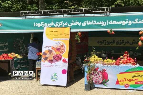 برگزاری ویژه‌برنامه هفته فرهنگی در بخش مرکزی شهرستان فیروزکوه