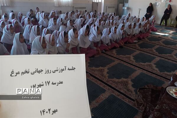 جشنواره صبحانه سالم و مفید با تخم مرغ