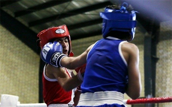 مبارزه ۲۸۳ بوکسور خردسال روی رینگ جشنواره استعدادیابی