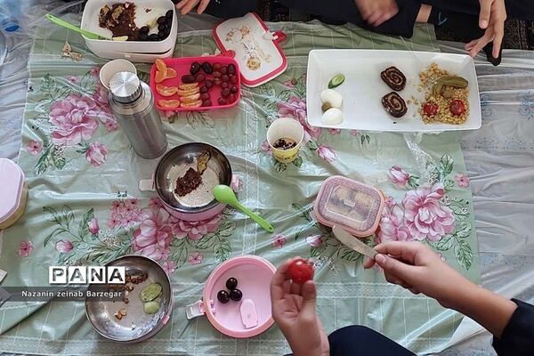صبحانه سلامت در دبیرستان دخترانه شاهد فیض ناحیه 3 شیراز