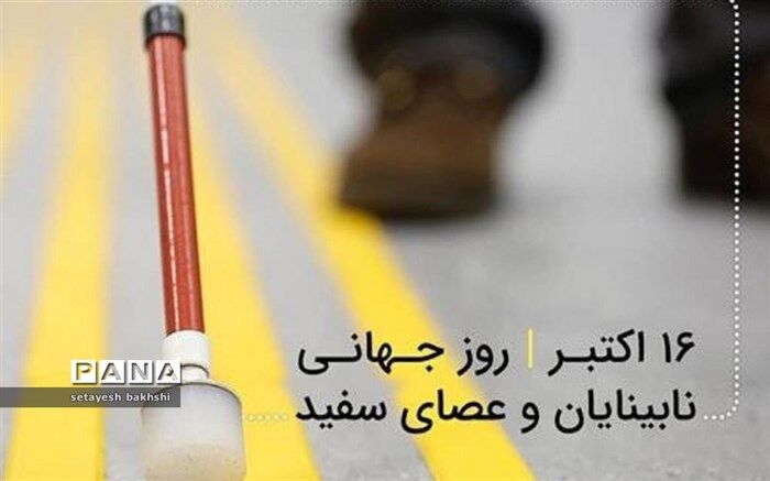 بینایی تأثیرگذارترین احساس انسان‌ها به شمار می‌رود