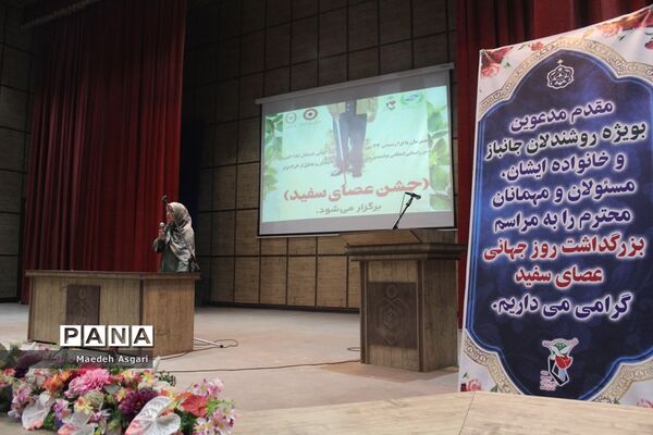 همایش روز جهانی «عصای سفید» در قم