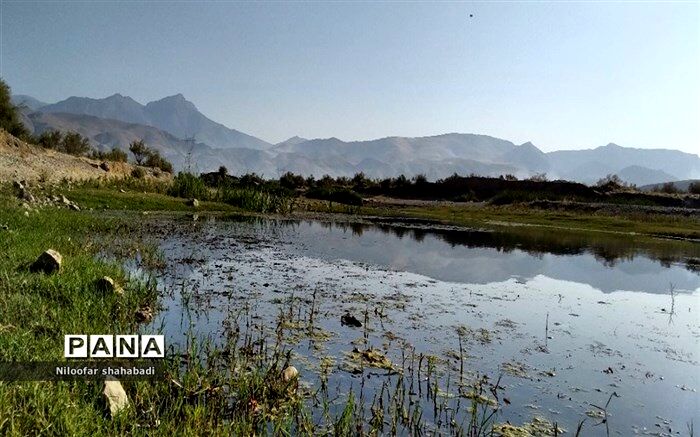 تامین آب شرب دغدغه اصلی وزارت نیرو است