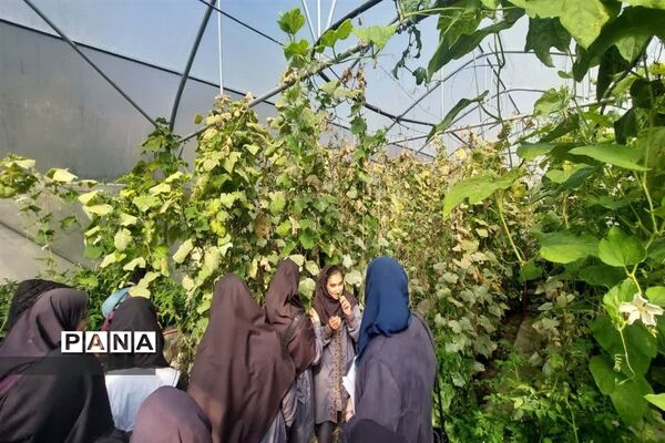 بازدید  از مزرعه للوک در بلده