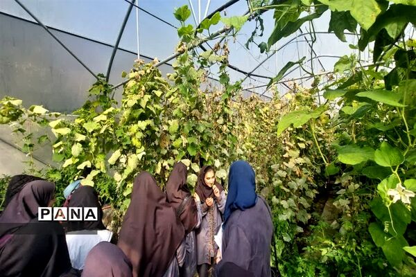 بازدید  از مزرعه للوک در بلده