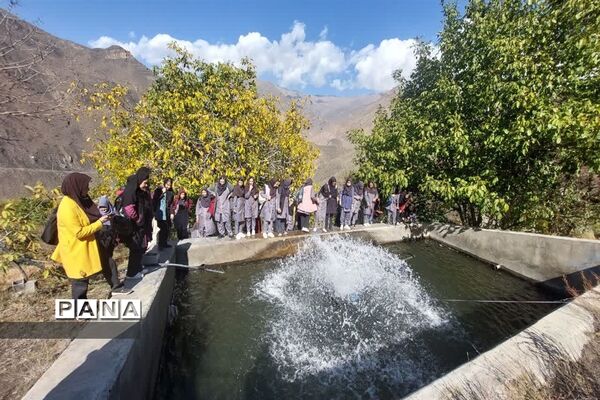 بازدید  از مزرعه للوک در بلده