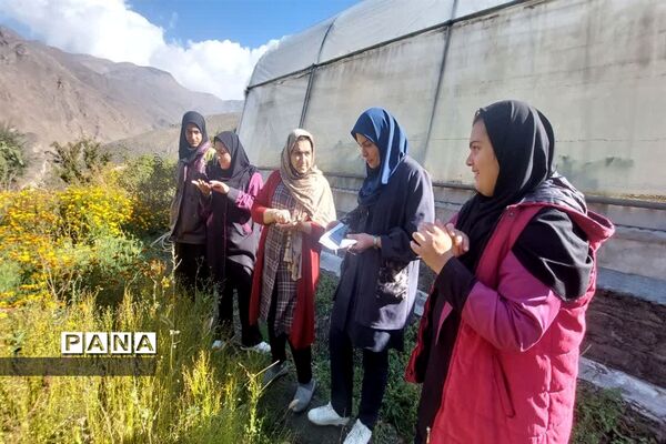 بازدید  از مزرعه للوک در بلده