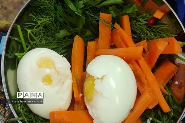 جشنواره غذای سالم در دبستان ایمان رودهن