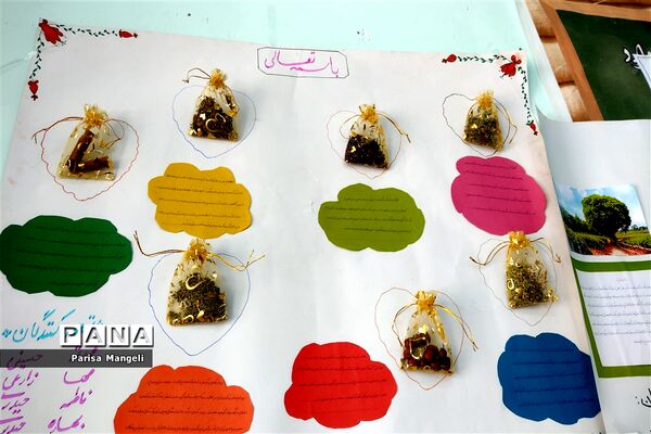 جشنواره مطالعات اجتماعی و هنرهای دستی در دبیرستان توحید شهرستان خاتم