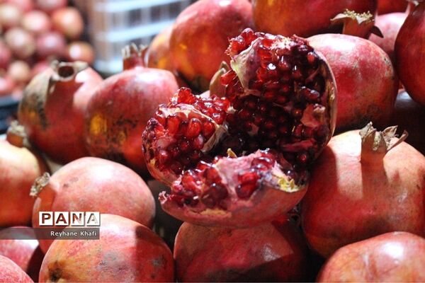 چهارمین جشنواره انار در روستای هدف گردشگری توچال