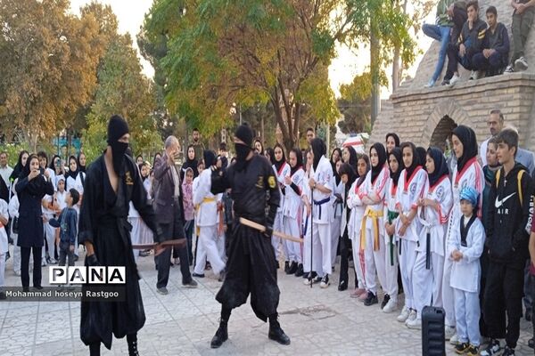 جشنواره فرهنگی ورزشی خیابان ورزش
