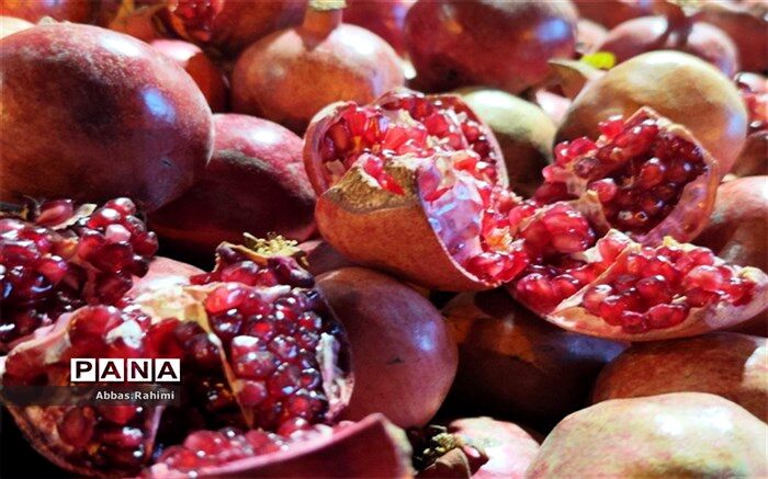 چهارمین جشنواره انار در روستای هدف گردشگری توچال پاکدشت برگزار شد/فیلم