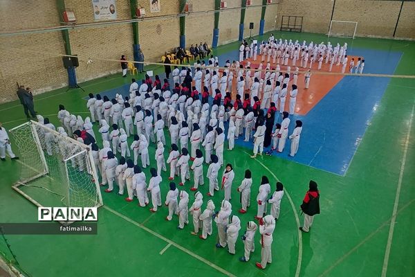 برگزاری فستیوال کاراته و خانواده به‌مناسبت هفته تربیت‌بدنی و ورزش در فیروزکوه