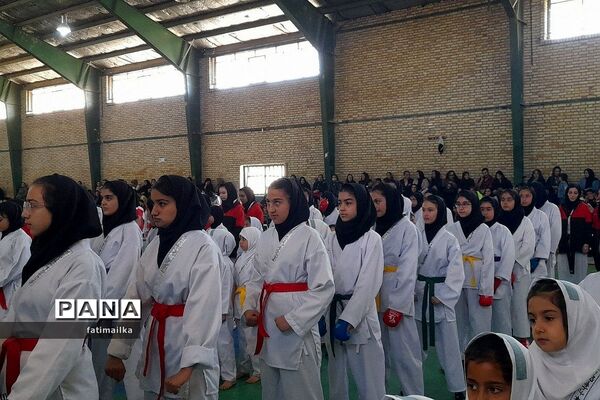 برگزاری فستیوال کاراته و خانواده به‌مناسبت هفته تربیت‌بدنی و ورزش در فیروزکوه
