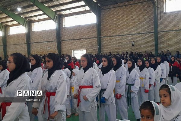 برگزاری فستیوال کاراته و خانواده به‌مناسبت هفته تربیت‌بدنی و ورزش در فیروزکوه