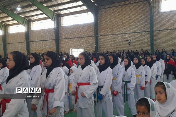 برگزاری فستیوال کاراته و خانواده به‌مناسبت هفته تربیت‌بدنی و ورزش در فیروزکوه