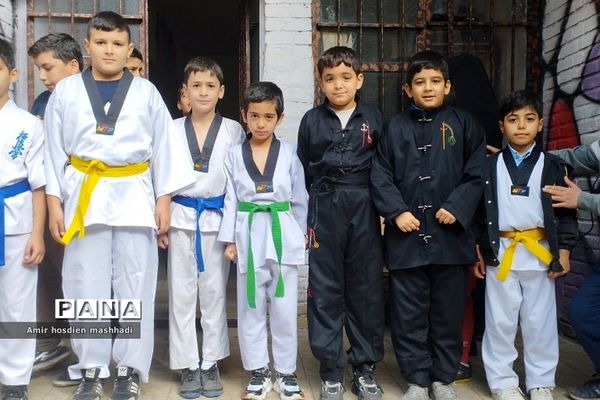 المپیاد ورزش‌های رزمی در دبستان دانش رودهن