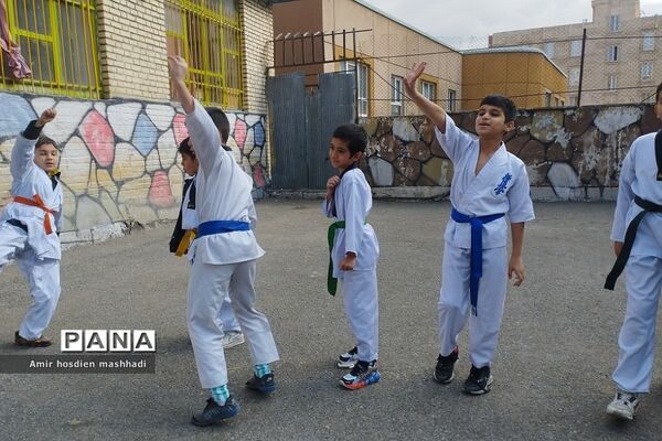 المپیاد ورزش‌های رزمی در دبستان دانش رودهن