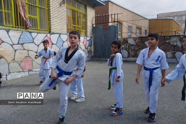 المپیاد ورزش‌های رزمی در دبستان دانش رودهن