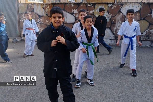 المپیاد ورزش‌های رزمی در دبستان دانش رودهن