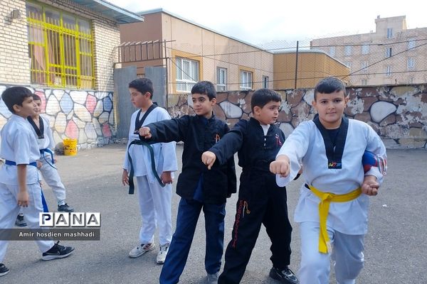 المپیاد ورزش‌های رزمی در دبستان دانش رودهن