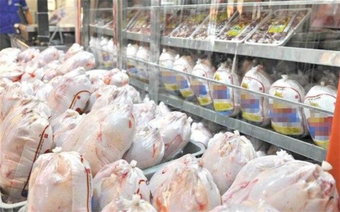 ۲۰۰ هزار تن گوشت طیور در شهریور ماه عرضه شد