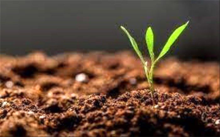 آغاز پایش سراسری کیفیت خاک‌های کشاورزی ایران