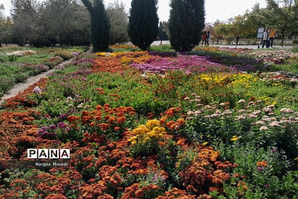 باغ گیاه‌شناسی ملی ایران